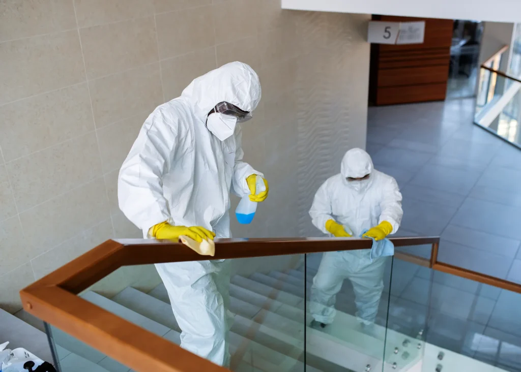 treppenhausreinigung-js-reinigung-2 Treppenhausreinigung, Treppenreinigung, Treppengeländer Reinigung, Unterhaltsreinigung, Treppen Desinfektion, JS-gebäudereinigung Neustadt, JS-Reinigung, Glas- und Gebäudereinigung Neustadt und Umland